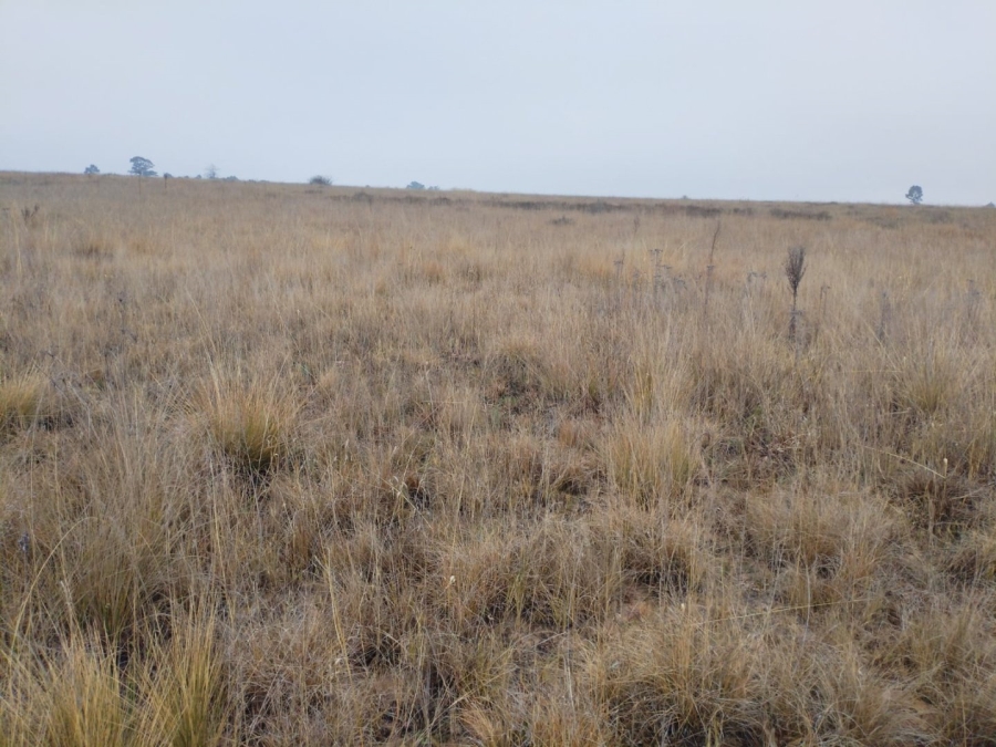  Bedroom Property for Sale in Vaalpark Free State